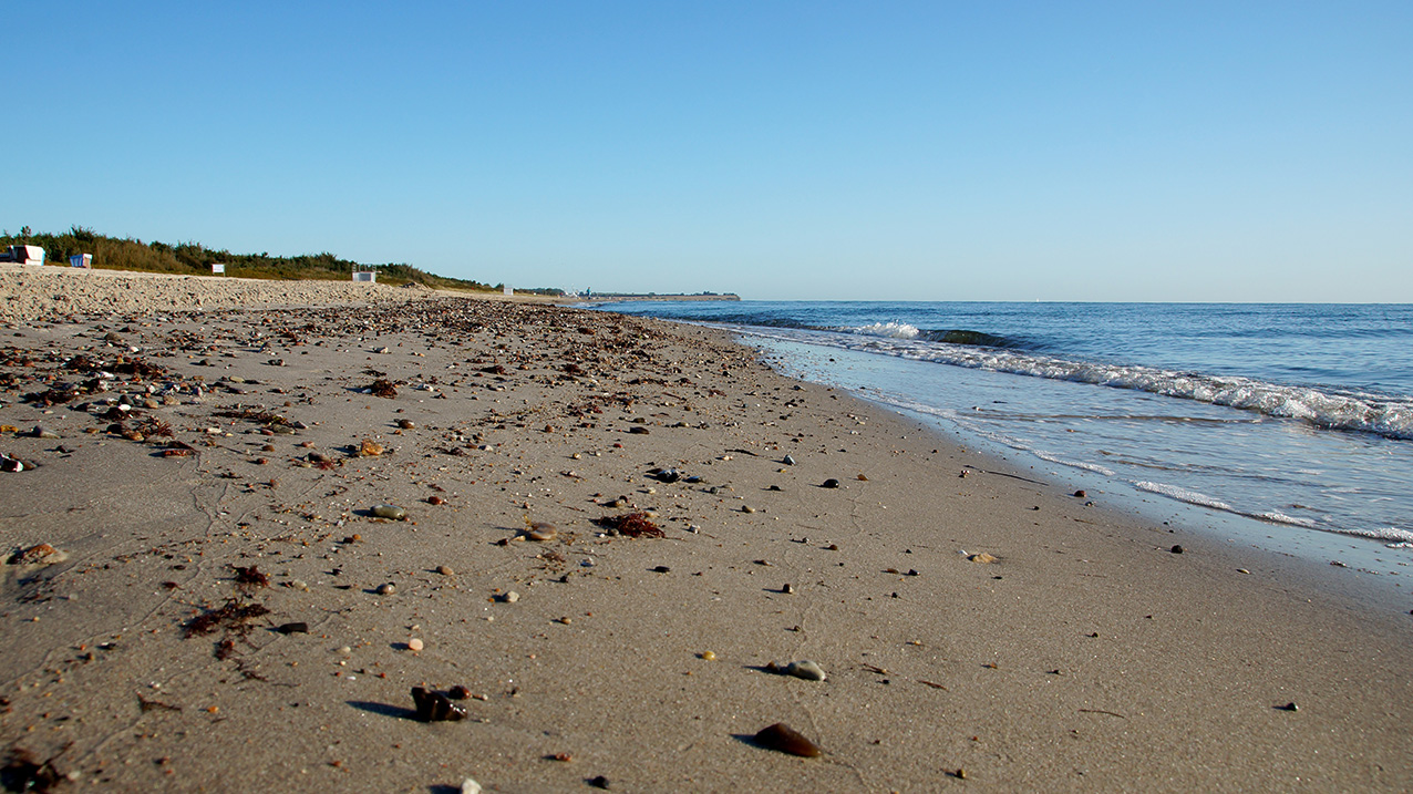 Damp-Strand